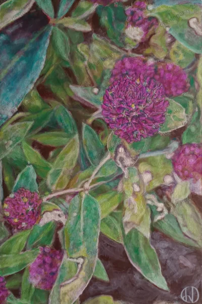 Las Florecitas Moradas de la Calle